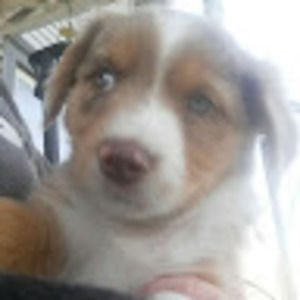 Meet your Posher, Jayne